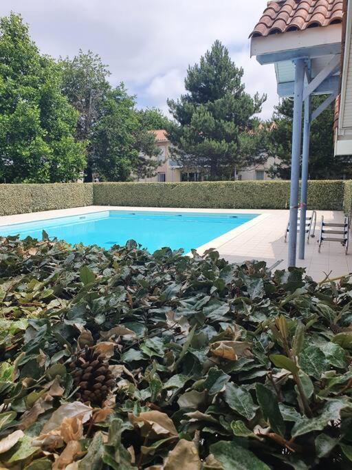 Mignon Appartement En Residence Avec Piscine Biscarrosse Exteriör bild
